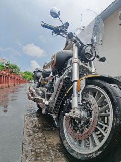 Mojiang Bob 800 cc - ფოტო 3