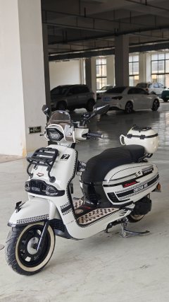 Weiduoliya Sixties 150Si - ფოტო 3