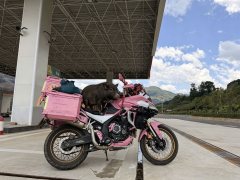 Voge DS525 500 cc - ფოტო 1