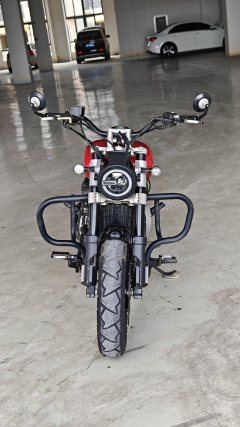 Benda Challenger 300 - photo 2