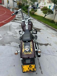 Harley-Davidson Fat Boy 1860 cc - ფოტო 4