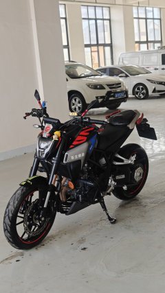 Kayo Cobra 321R 320 cc - ფოტო 3