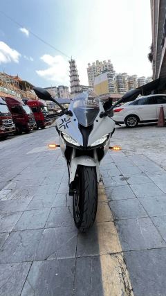 QJMOTOR SRK 250 - фото 7