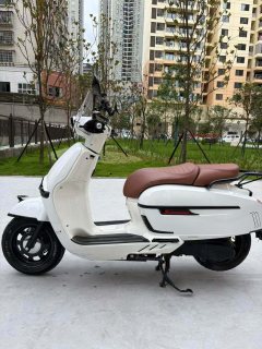 Weiduoliya Sixties 150i - photo 1