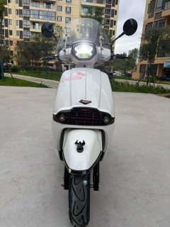 Weiduoliya Sixties 150i - photo 3