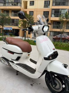 Weiduoliya Sixties 150i - photo 4