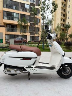 Weiduoliya Sixties 150i - photo 5