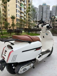 Weiduoliya Sixties 150i - photo 6