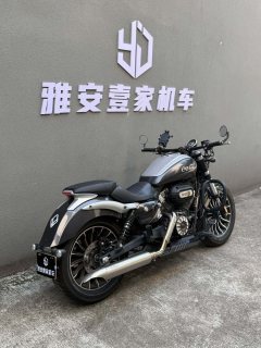 Benda Polestones 03 Gray 300 cc - photo 2