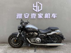 Benda Polestones 03 Gray 300 cc - photo 6