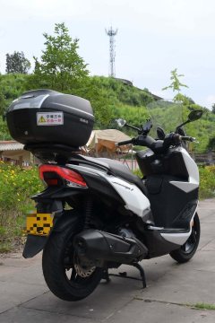 SYM Joymax F 300 - photo 7