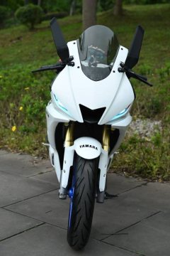 Feiying RM35 320 cc - ფოტო 1