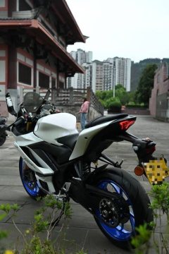 Feiying RM35 320 cc - ფოტო 6