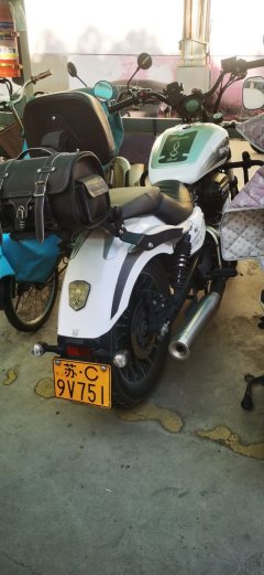 Benda Polestones 03 Gray 300 cc - photo 3