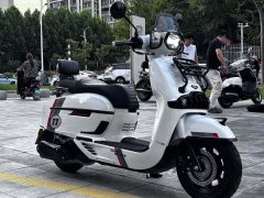 Weiduoliya Sixties 150Si - ფოტო 4