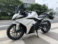 Kayo 250RR Thornbird - фото 2