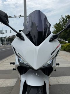 Kayo 250RR Thornbird - фото 3