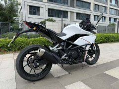 Kayo 250RR Thornbird - фото 7