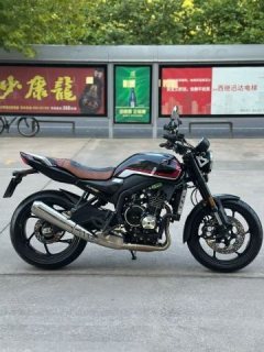 Zhangxue Motorcycles 500F - ფოტო 2