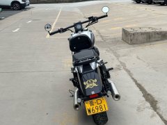 Benda Polestones 03 Gray 300 cc - ფოტო 4