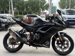 Voge 250RR - ფოტო 4