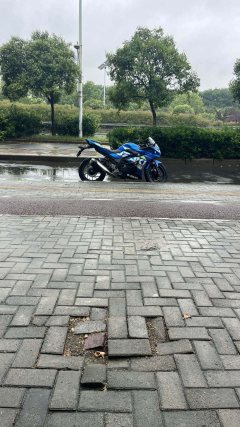 Haojue Suzuki GSX250R - photo 5