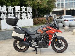 Haojue Suzuki DL250 - ფოტო 4