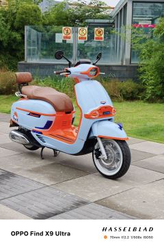 Weiduoliya Sixties 150Si - photo 1