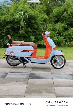 Weiduoliya Sixties 150Si - photo 2