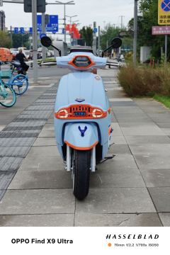Weiduoliya Sixties 150Si - photo 3