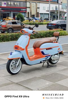 Weiduoliya Sixties 150Si - photo 4
