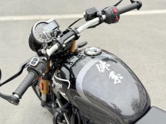 Triumph Speed 400 - ფოტო 6