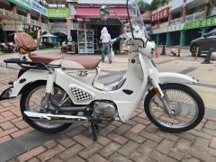 Zongshen Yami 110 cc - photo 5