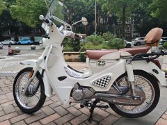 Zongshen Yami 110 cc - photo 8