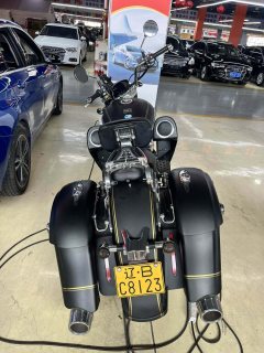 Mojiang MJ919 800 cc - фото 1