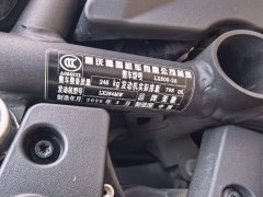 Voge DS800X - ფოტო 8