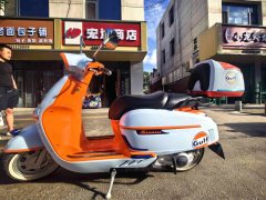 Weiduoliya Sixties 300i - photo 4