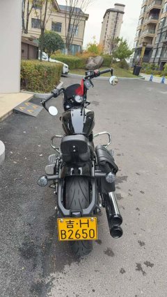 Indian Scout 1133 cc - ფოტო 5