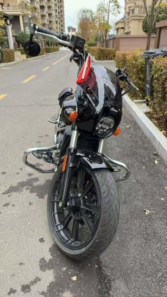 Indian Scout 1133 cc - ფოტო 6