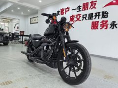Harley-Davidson Iron883 - photo 3