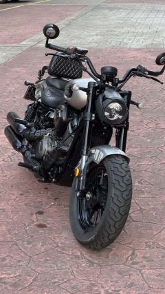 Benda Chinchilla 500 - photo 1