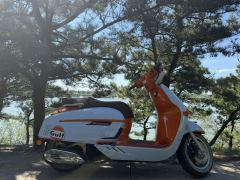 Weiduoliya Sixties 150Si - ფოტო 1