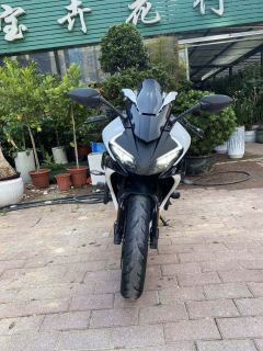 CFMOTO 250SR - ფოტო 2