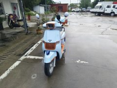 Nanfnag Monica Lisa Feigo 150 cc - ფოტო 1