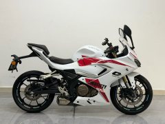QJMOTOR SRK 250 - photo 2