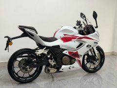 QJMOTOR SRK 250 - photo 3