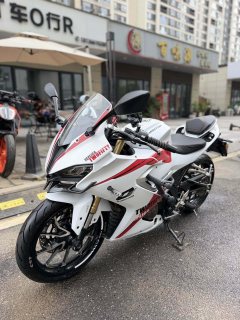 QJMOTOR SRK 250 - photo 3