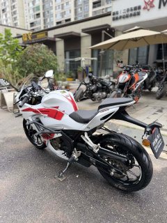 QJMOTOR SRK 250 - photo 5