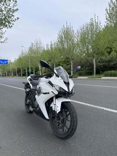 QJMOTOR SRK 250 - ფოტო 1