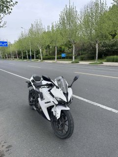 QJMOTOR SRK 250 - ფოტო 2